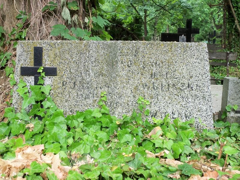 Zdjęcie grobu Franciszek Burski (2)