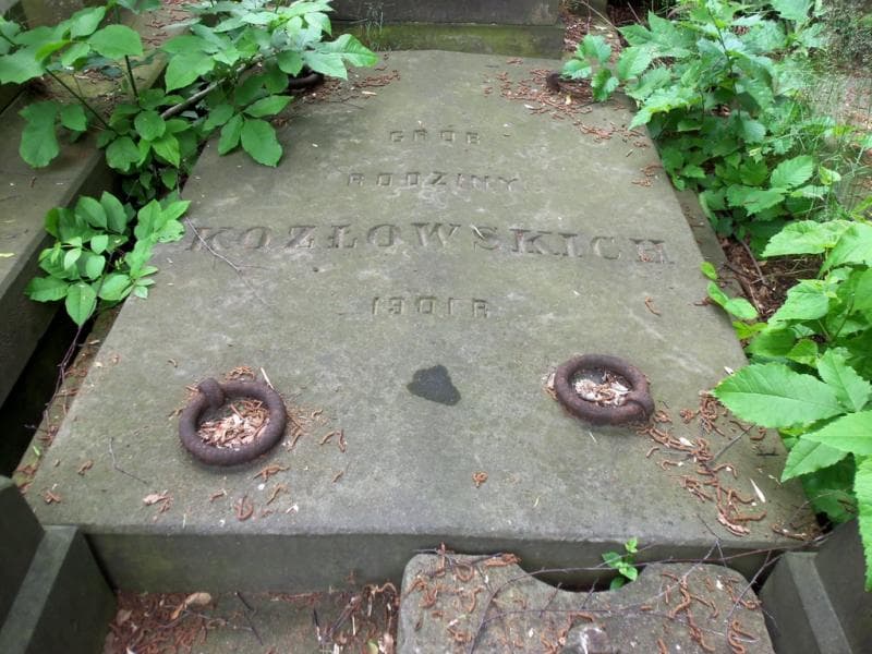 Zdjęcie grobu Franciszka Czechowiczowa (2)