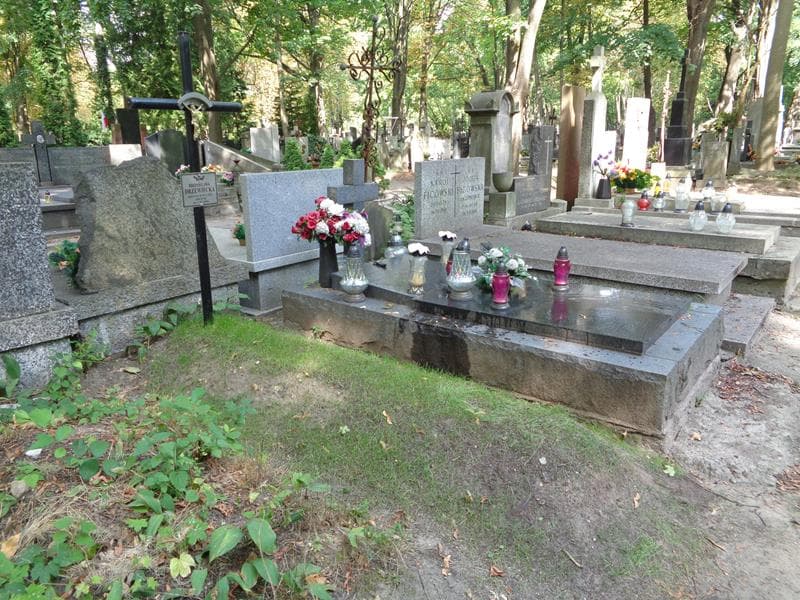 Zdjęcie grobu: Bronisława Drzewiecka