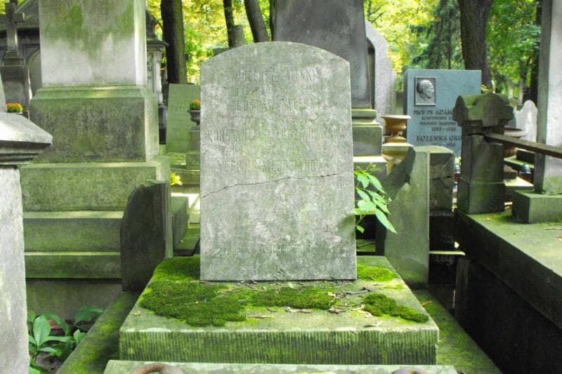 Zdjęcie grobu Konstancja Młodzianowska (2)