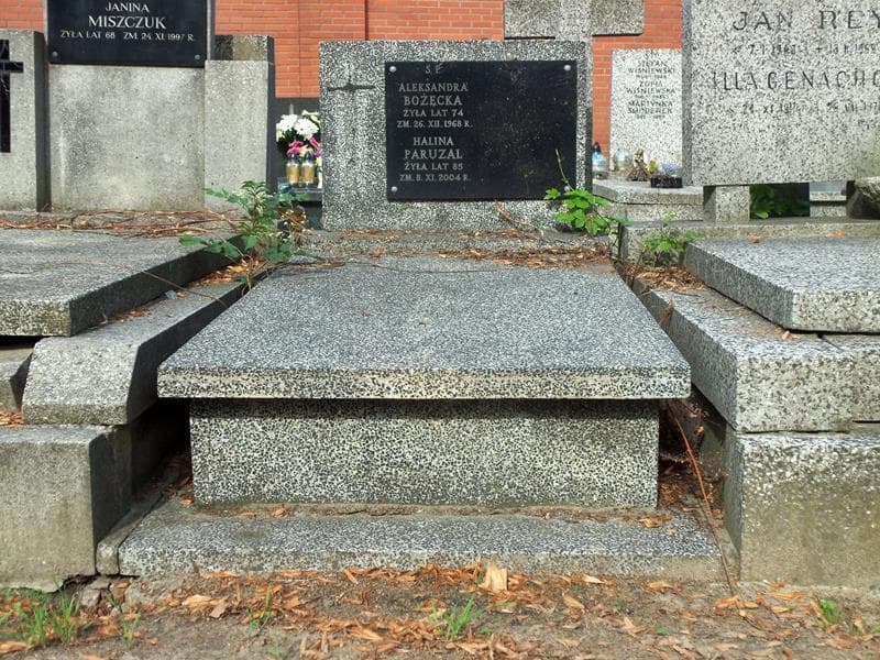Zdjęcie grobu: Aleksandra Bożęcka