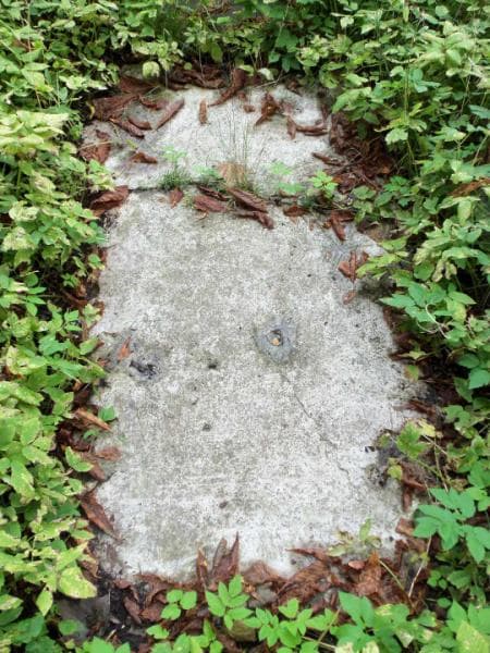 Zdjęcie grobu Henryk Bereźnicki (2)