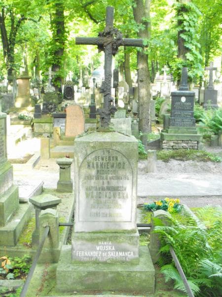 Zdjęcie grobu Seweryn Narkiewicz (2)