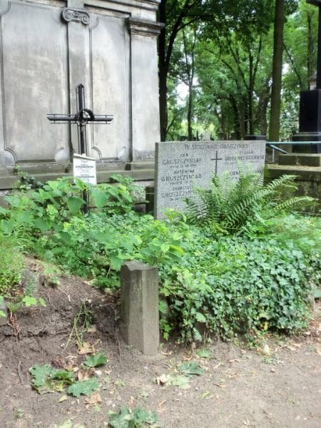 Zdjęcie grobu Tadeusz Stępniewski (1)