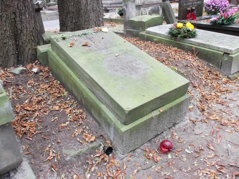 Zdjęcie grobu Agnieszka Wasita (2)