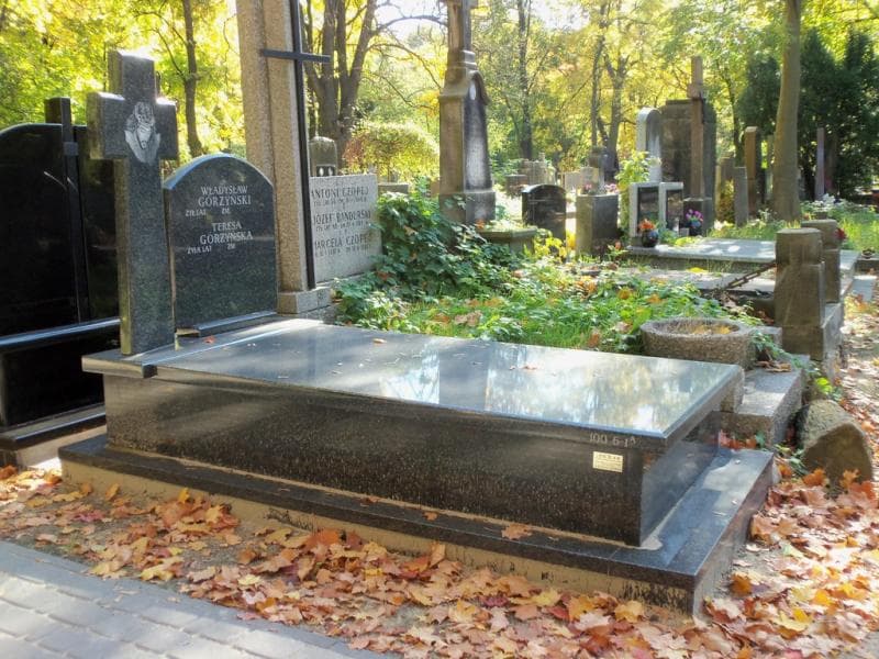 Zdjęcie grobu Teresa Górzyńska (1)