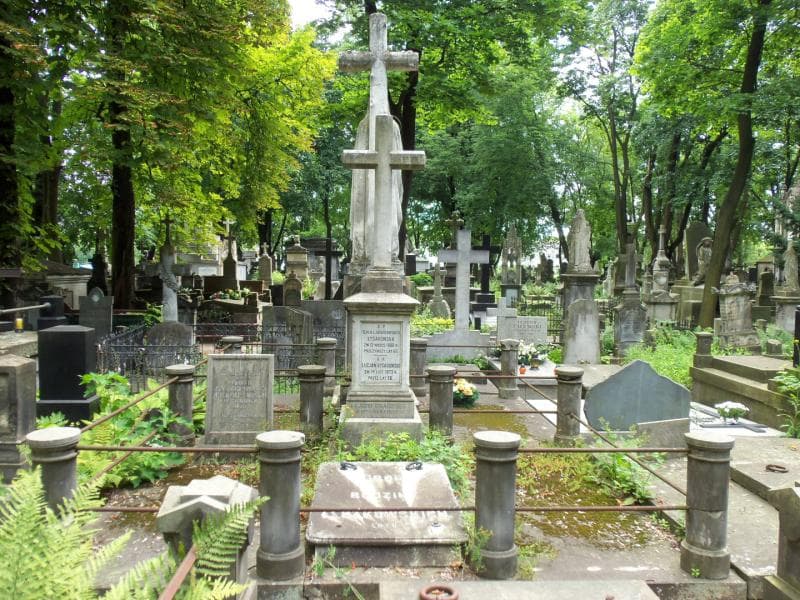 Zdjęcie grobu Janina Frankowska (1)