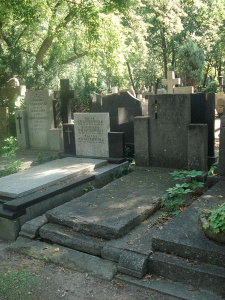 Zdjęcie grobu Anastazja Dziak (1)
