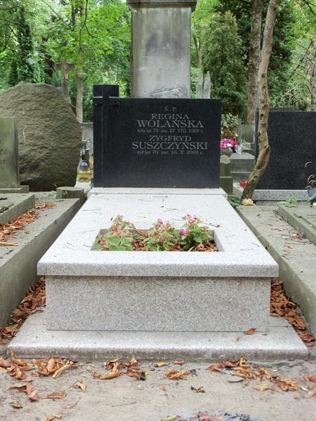 Zdjęcie grobu: Regina Wolańska