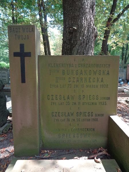 Zdjęcie grobu Klementyna Czarnecka (2)