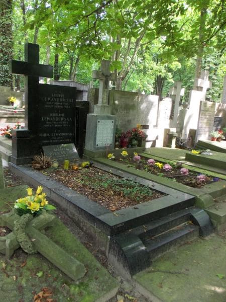 Zdjęcie grobu Marja Lewandowska (1)