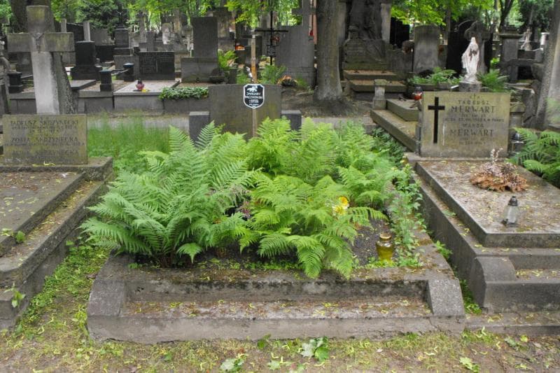 Zdjęcie grobu Jagiełłowie (1)