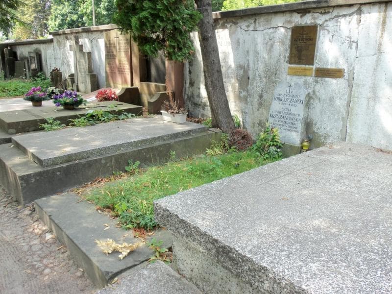 Zdjęcie grobu Emilia Krzyżanowska (1)
