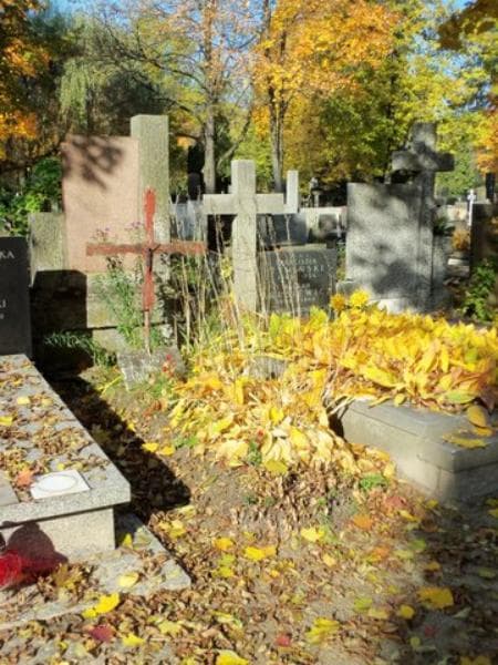 Zdjęcie grobu Ignacy Biernacki (1)