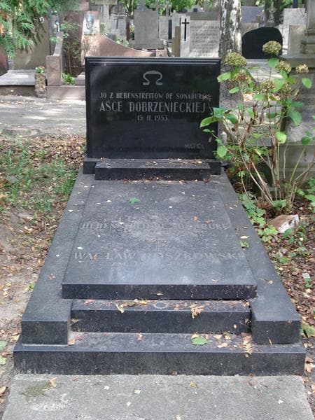 Zdjęcie grobu Aśka Dobrzeniecka (1)