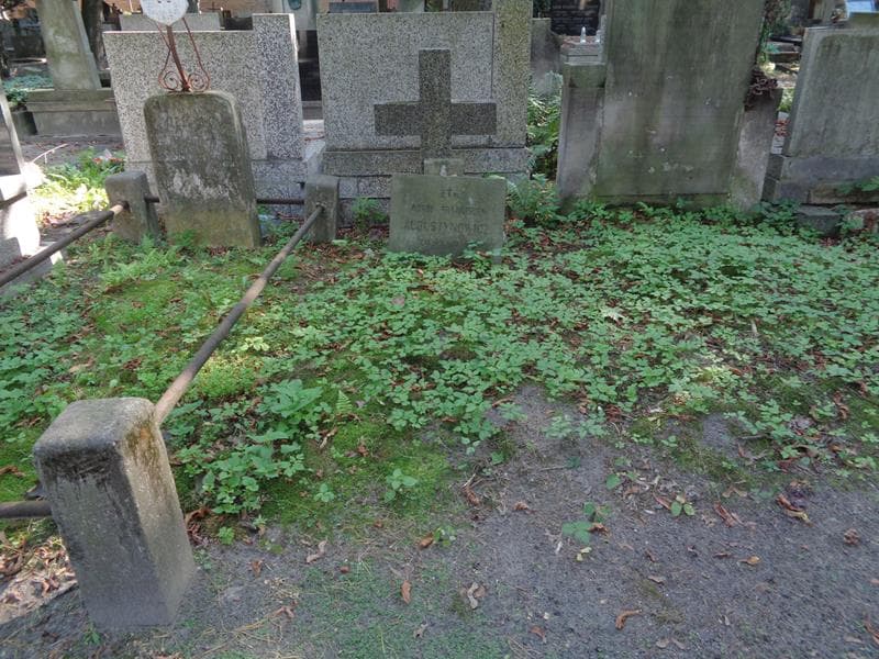 Zdjęcie grobu Adam Franciszek Augustynowicz (1)
