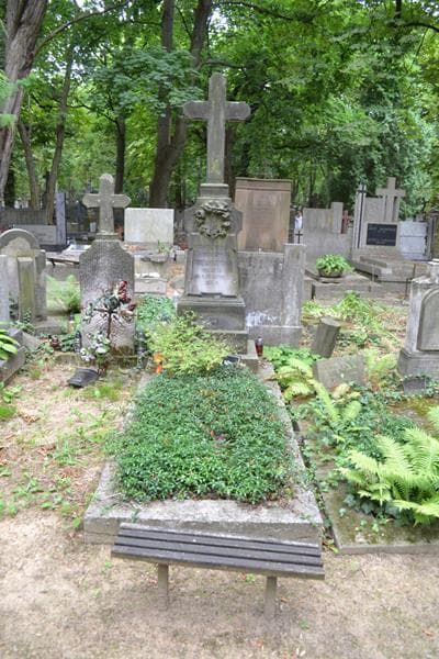 Zdjęcie grobu Wacława Rozalja Niedziałkowska (1)
