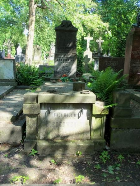 Zdjęcie grobu: Bronisława Bledzewska