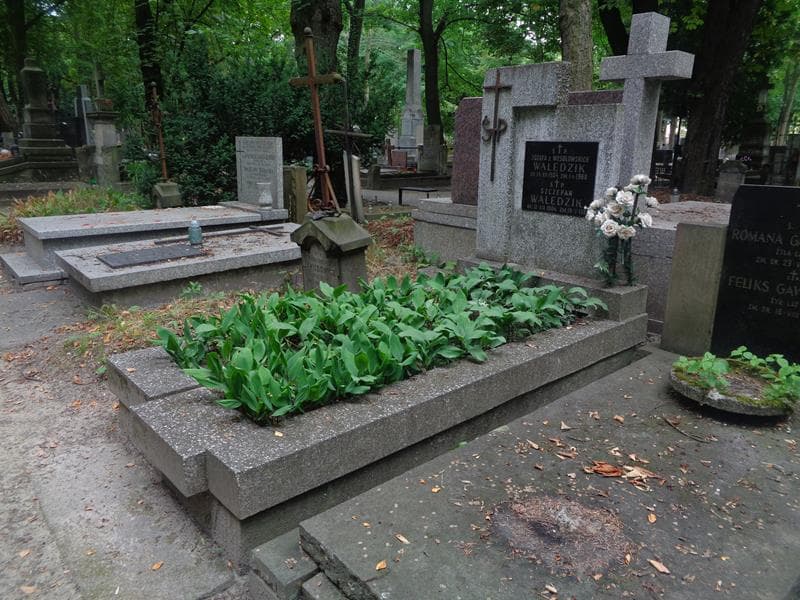 Zdjęcie grobu: Szczepan Walędzik