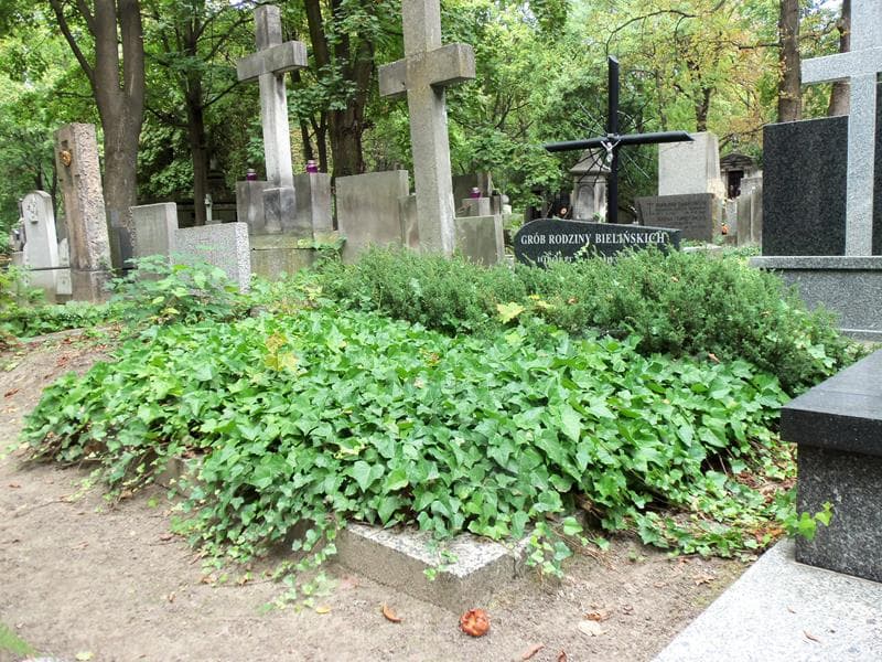 Zdjęcie grobu Stanisław Bieliński (1)