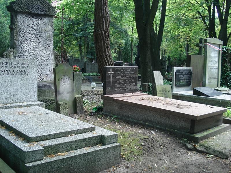 Zdjęcie grobu Edward Jackowski (1)