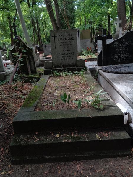 Zdjęcie grobu Anna Białowąs (1)