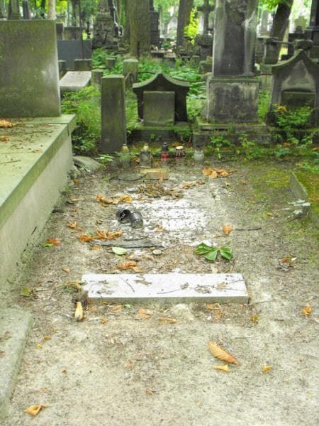Zdjęcie grobu: Józefa Janowska