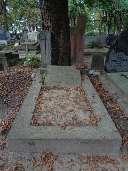 Zdjęcie grobu Michał Kupis (1)