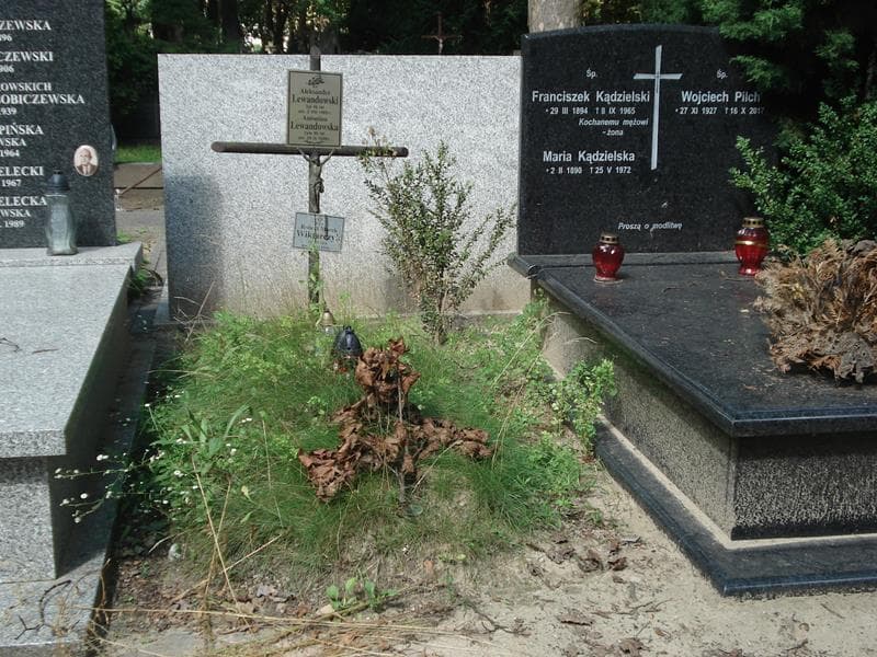 Zdjęcie grobu: Aleksander Lewandowski