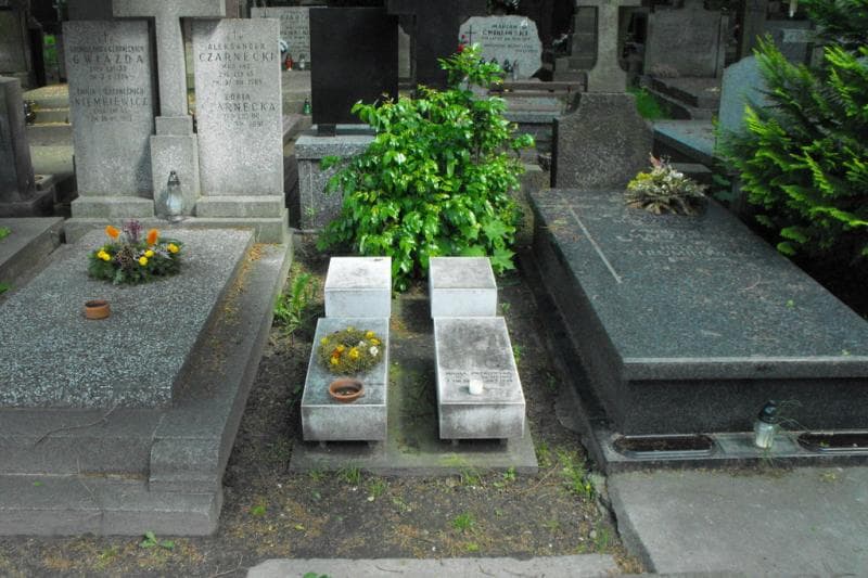 Zdjęcie grobu: Józef Patkowski