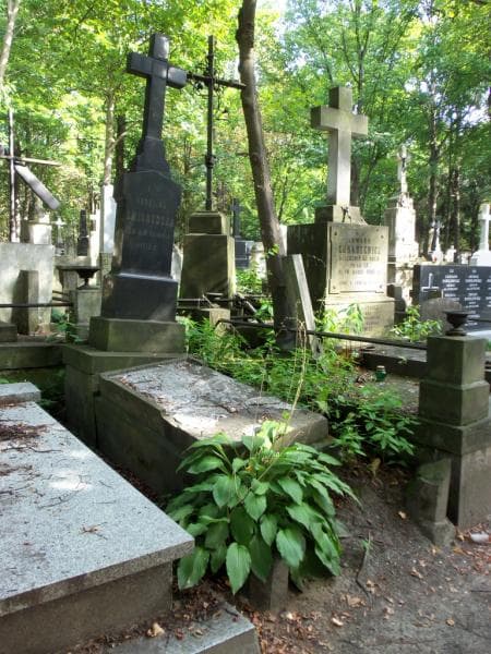 Zdjęcie grobu Karolina Żmigrodzka (1)