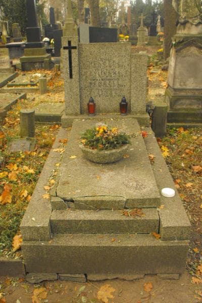 Zdjęcie grobu: Józef Handzel