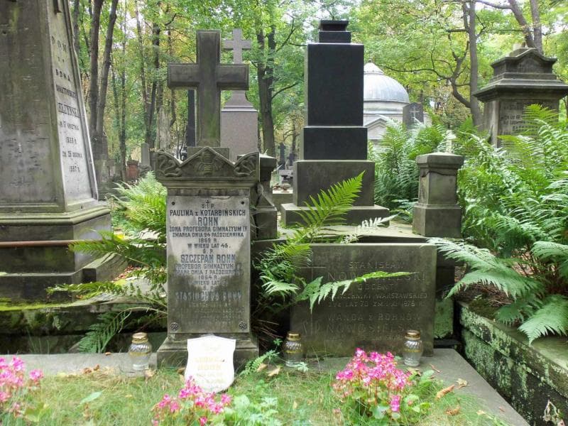 Zdjęcie grobu Stanisław Nowosielski (2)