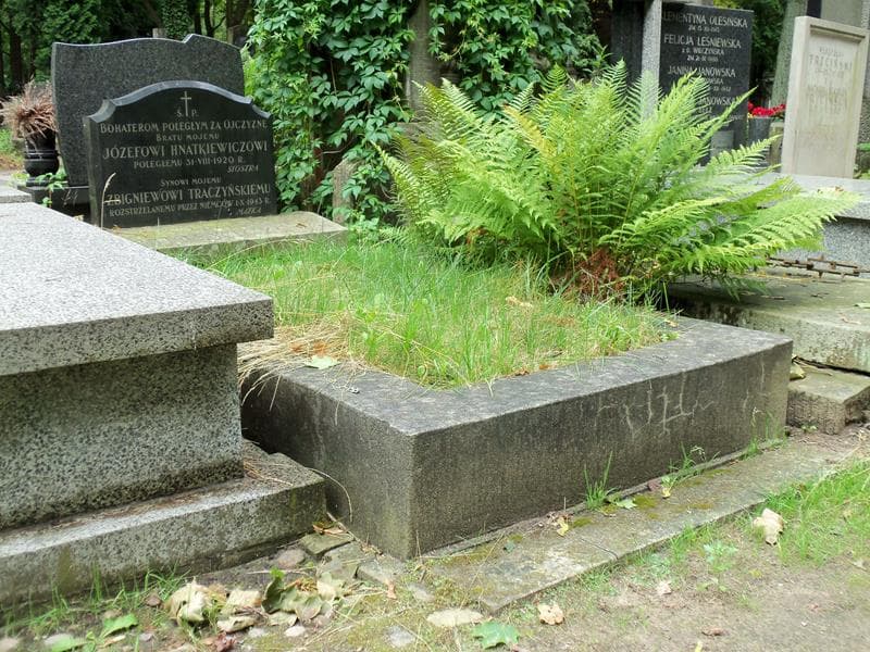 Zdjęcie grobu Józef Hnatkiewicz (1)