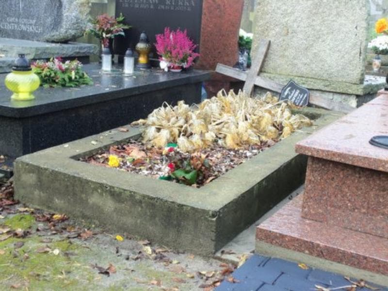Zdjęcie grobu Władysław Damski (1)