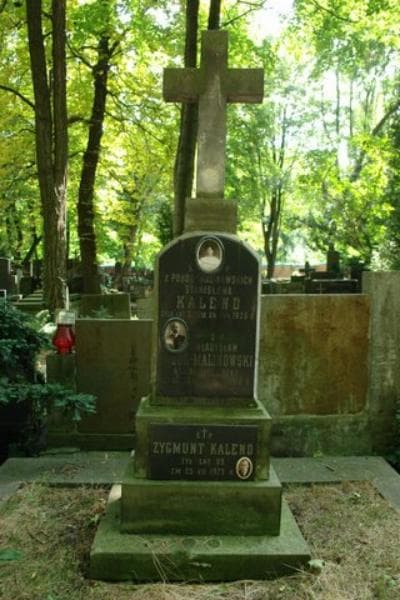 Zdjęcie grobu Władysław Pobóg-Malinowski (2)
