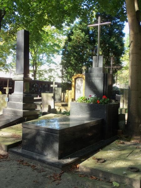 Zdjęcie grobu Andrzej Iwanicki (1)
