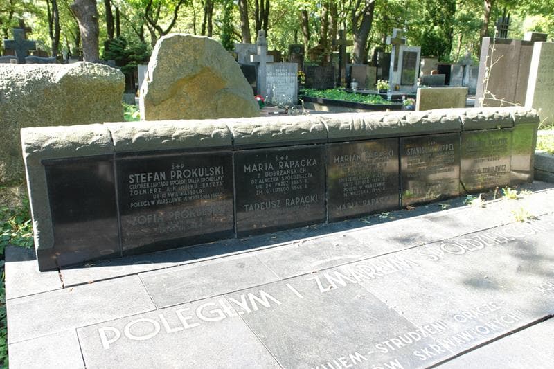 Zdjęcie grobu Michał Tomulewicz (2)