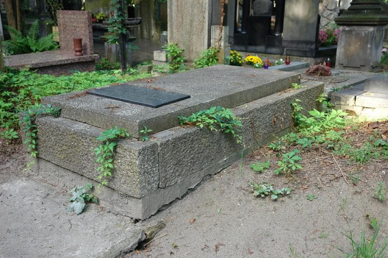 Zdjęcie grobu Edward Michałowski (1)