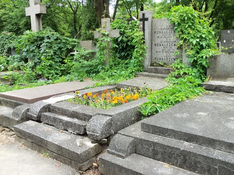 Zdjęcie grobu Zofia Martens (1)