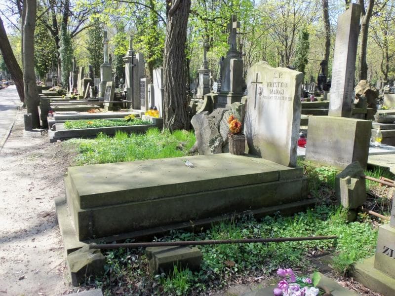 Zdjęcie grobu Krystyna Mamaj (1)
