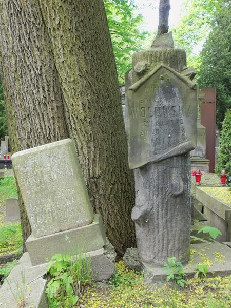 Zdjęcie grobu Michalina Wołowska (2)