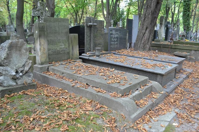 Zdjęcie grobu: Leonard Pecyna