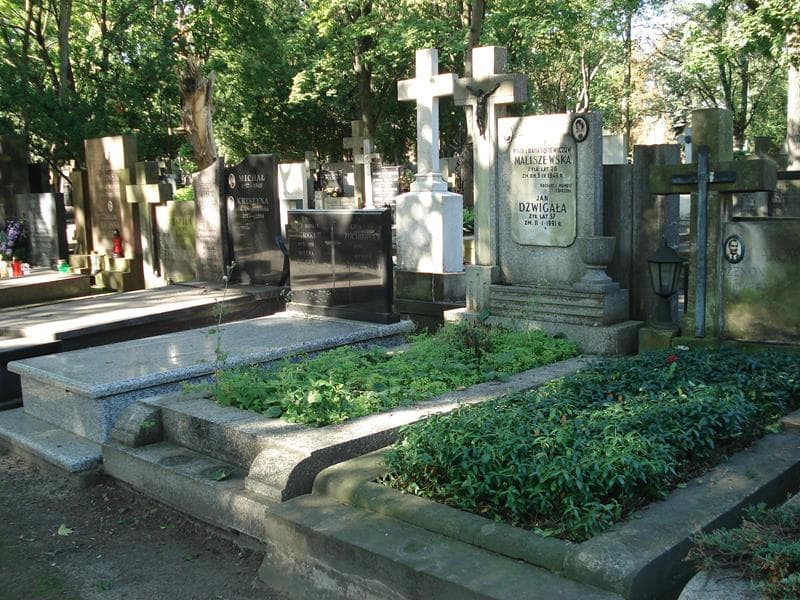 Zdjęcie grobu Róża Maliszewska (1)