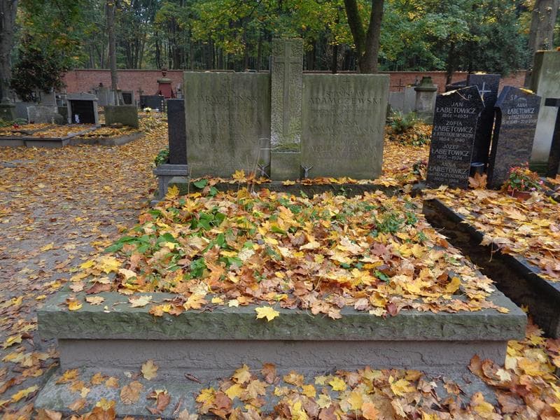 Zdjęcie grobu Stanisław Adamczewski (1)