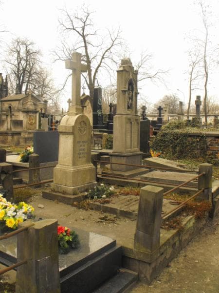 Zdjęcie grobu Władysław Nałęcz Małachowski (1)