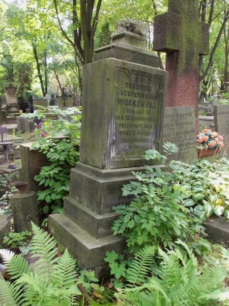 Zdjęcie grobu Zygmunt Podolszyński (2)