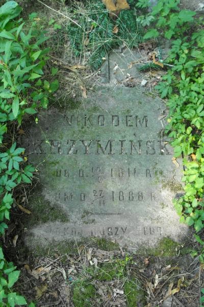Zdjęcie grobu Nikodem Krzymiński (2)