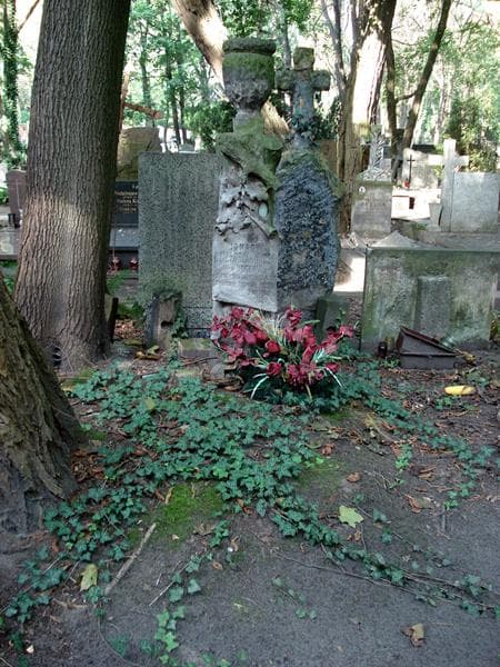 Zdjęcie grobu: Ignacy Działosza-Hincza