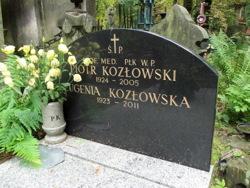 Zdjęcie grobu Eugenia Kozłowska (2)